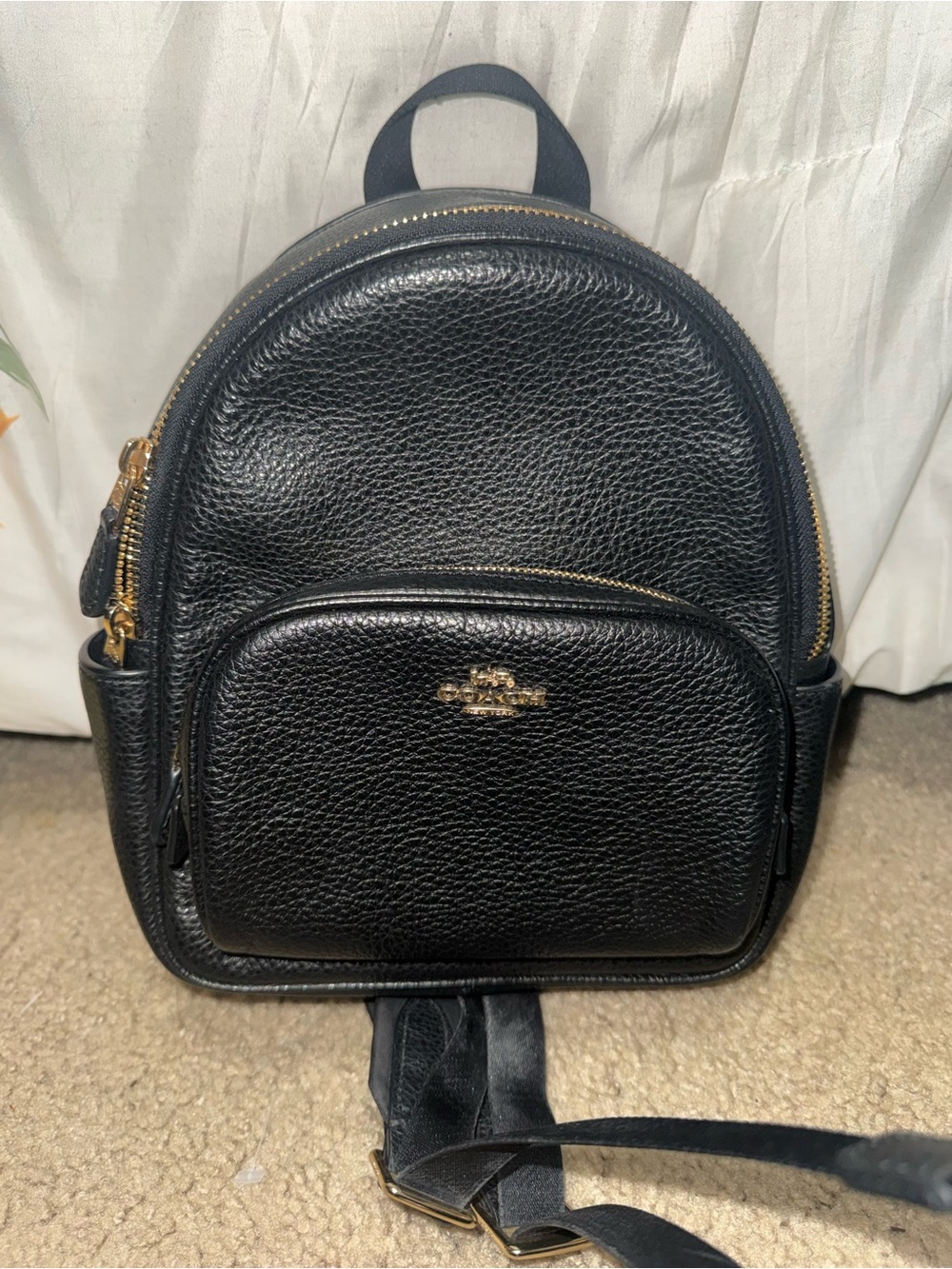 Coach Black Pebbled Leather Mini Backpack with Gold Hardware - Picture 2 of 8